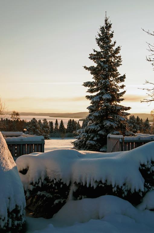 Bed and Breakfast Langaenge Logi Tandsbyn Zewnętrze zdjęcie