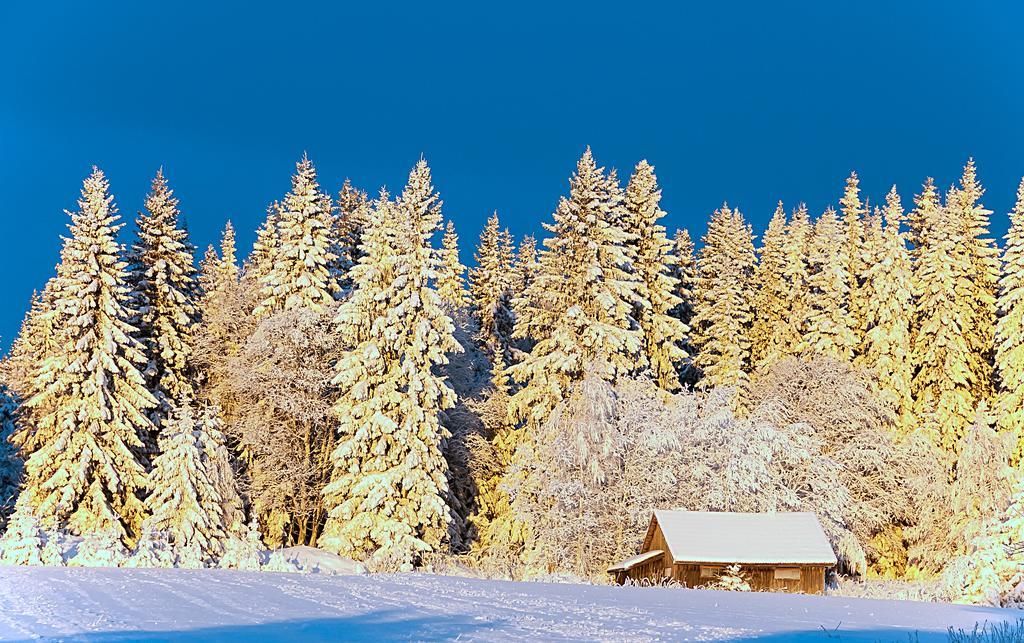 Bed and Breakfast Langaenge Logi Tandsbyn Zewnętrze zdjęcie